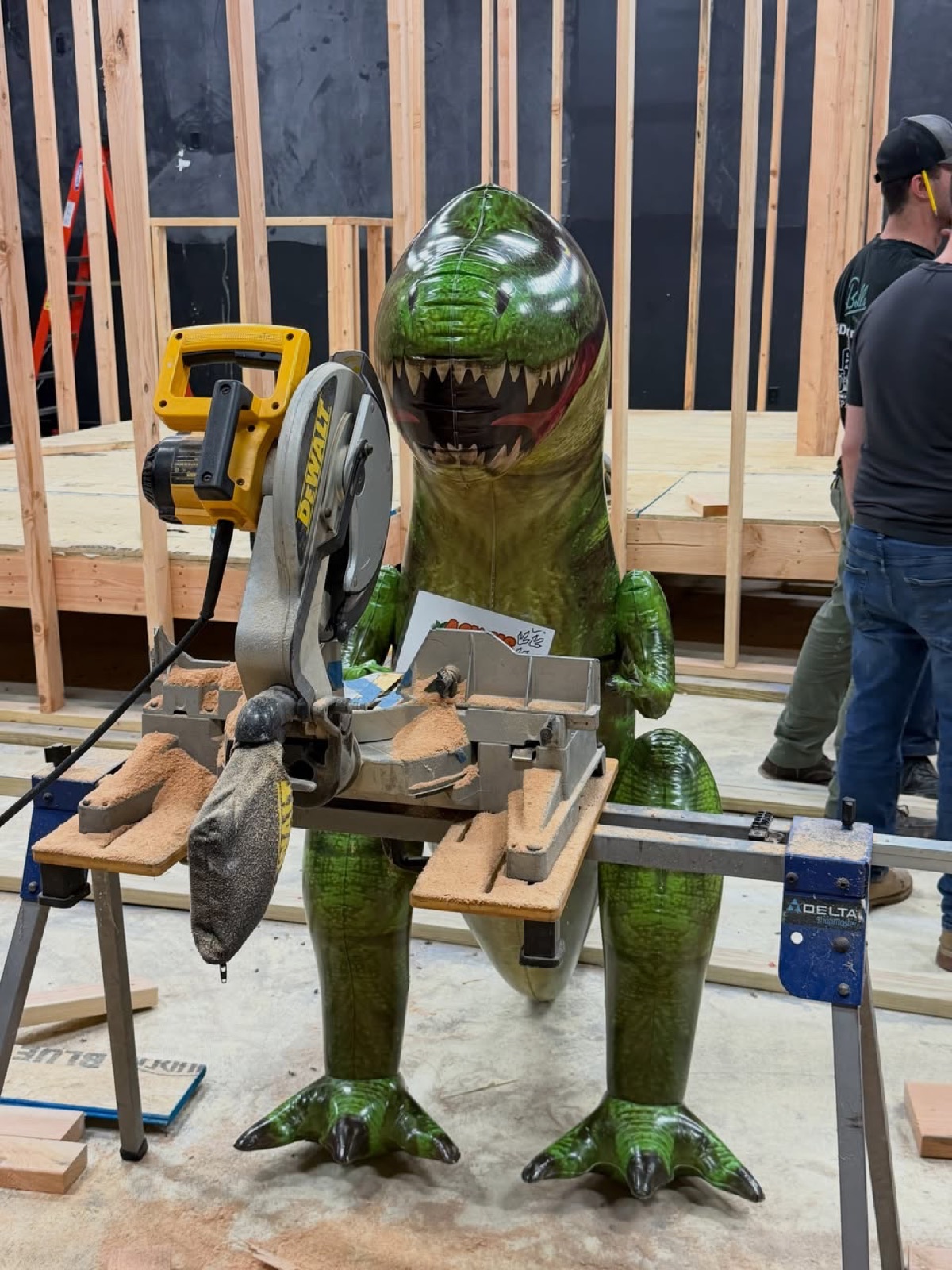 Tye the T-Rex behind a miter saw with new wall framing going up
